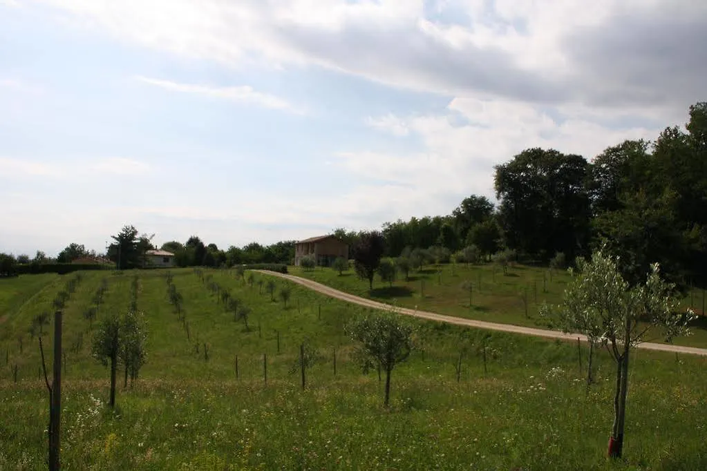 Agriturismo Da Merlo Trivignano Εξοχικό σπίτι